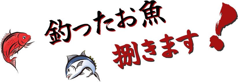 釣ったお魚捌きます