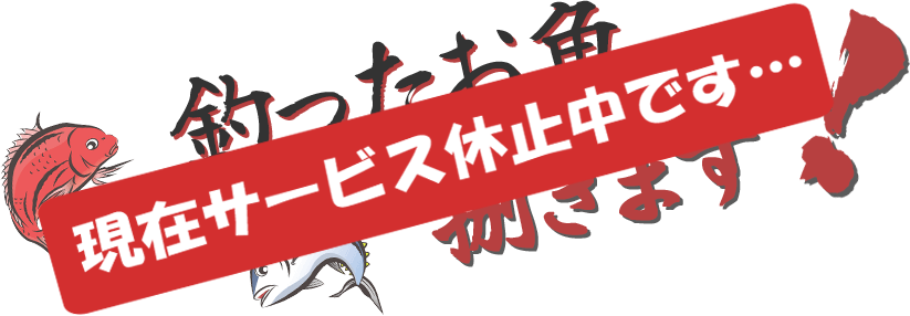 釣ったお魚捌きます
